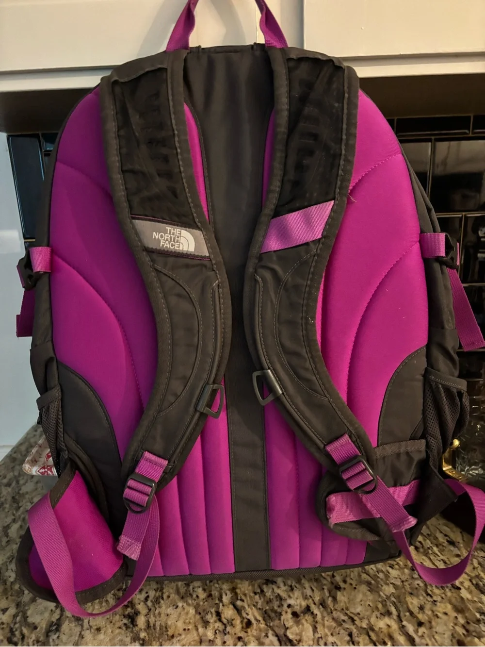 The North Face Borealis Backpack with Purple Accents